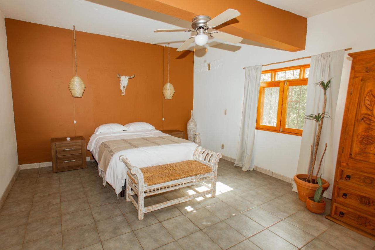 Cien Palmas- Authentic Mexican Casita 1 -Downtown Todos Santos Dış mekan fotoğraf